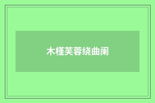 木槿芙蓉绕曲阑