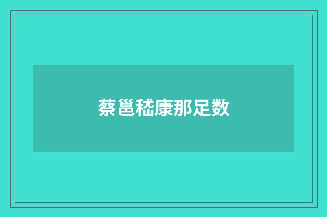 蔡邕嵇康那足数