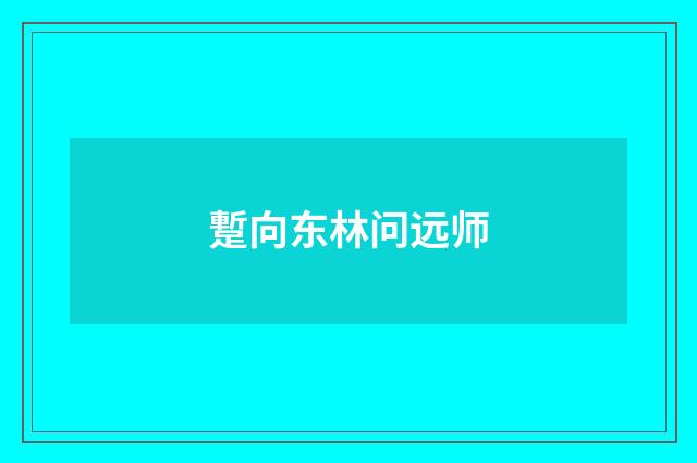 蹔向东林问远师