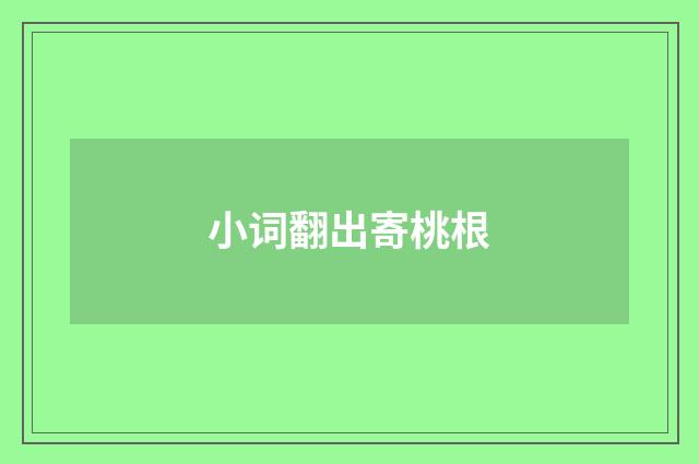 小词翻出寄桃根