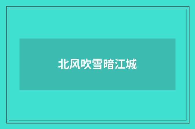 北风吹雪暗江城