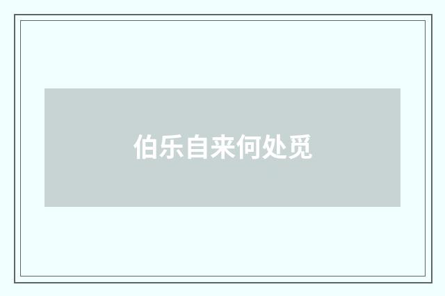 伯乐自来何处觅