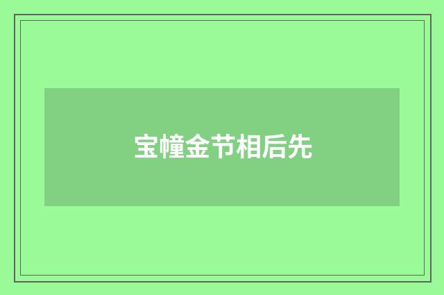 宝幢金节相后先