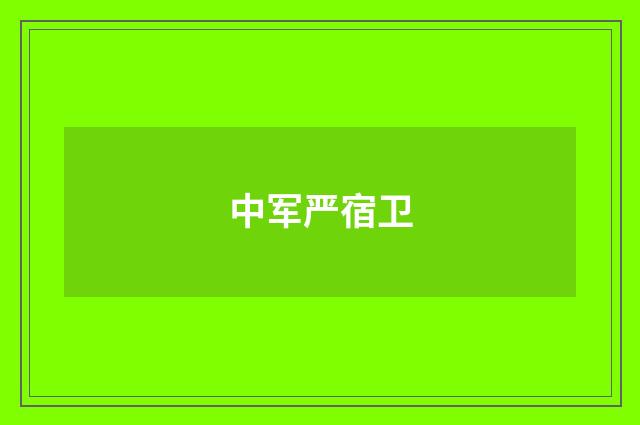 中军严宿卫