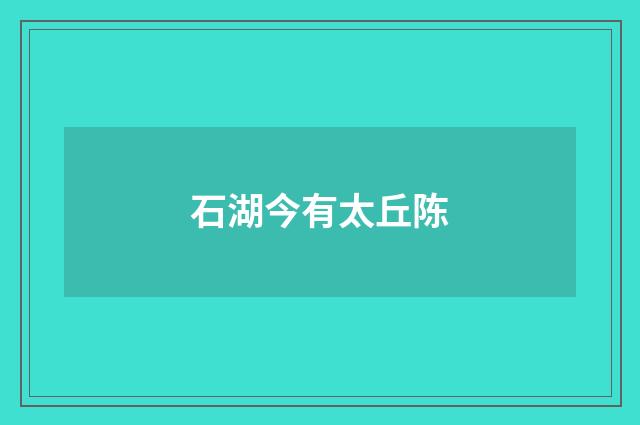 石湖今有太丘陈