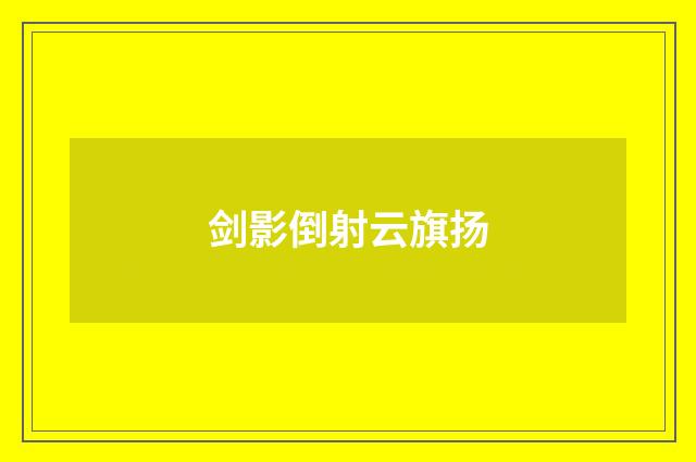 剑影倒射云旗扬