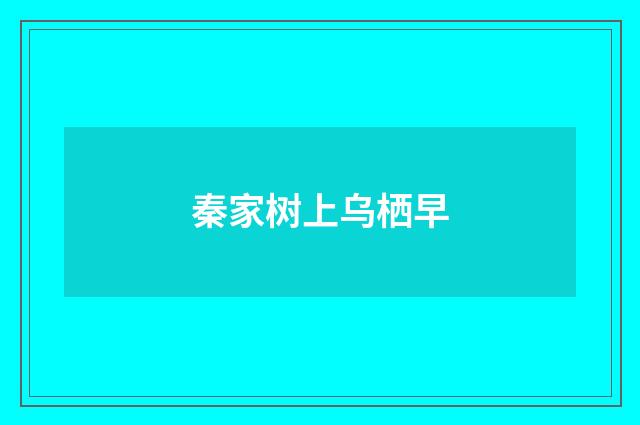 秦家树上乌栖早