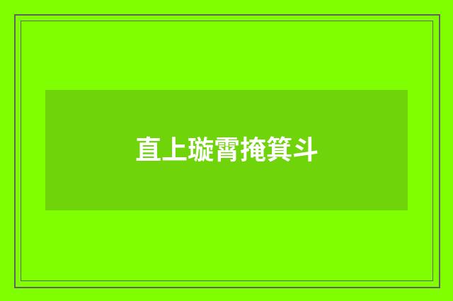 直上璇霄掩箕斗