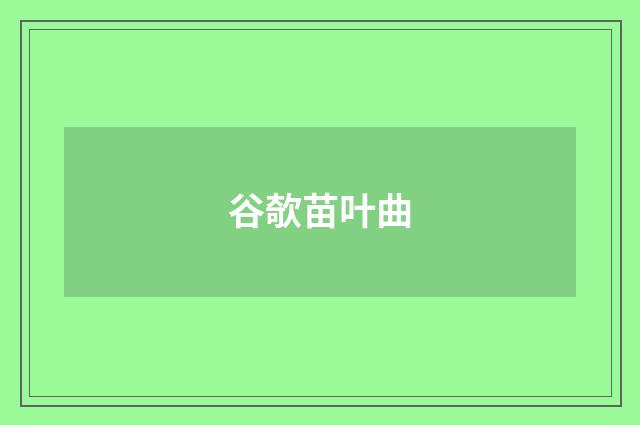 谷欹苗叶曲