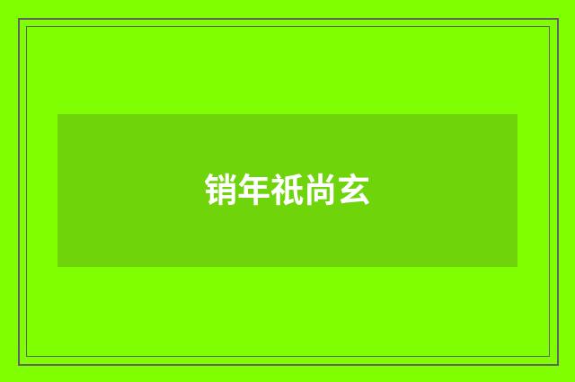 销年祇尚玄