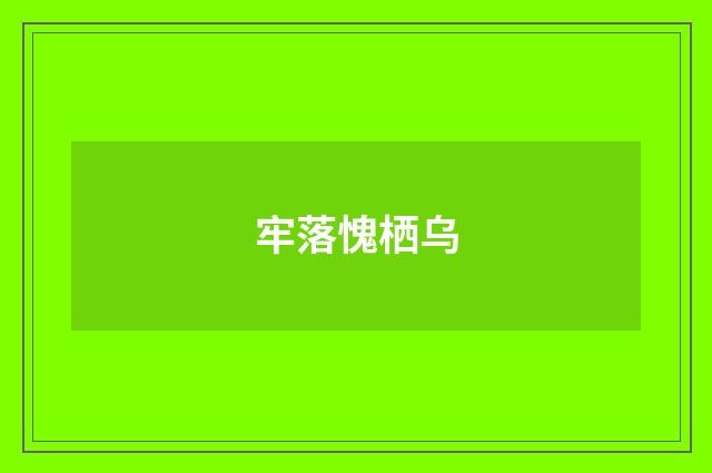 牢落愧栖乌