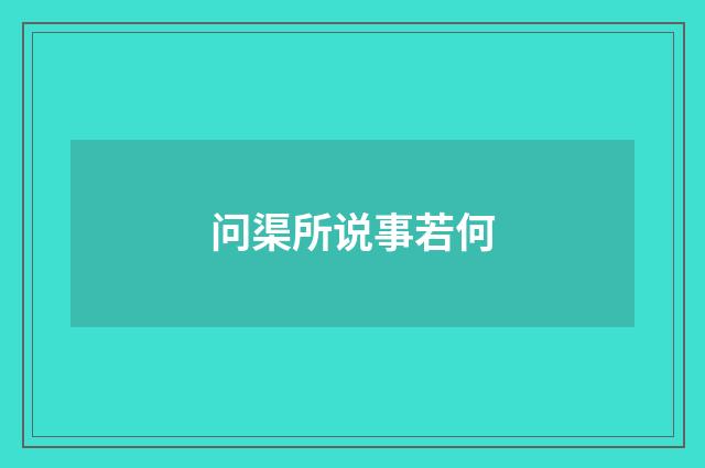 问渠所说事若何