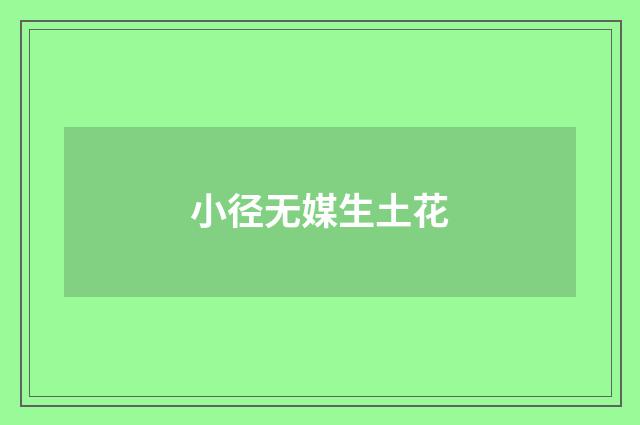 小径无媒生土花