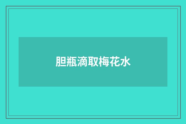胆瓶滴取梅花水
