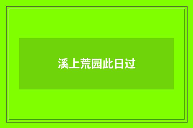 溪上荒园此日过
