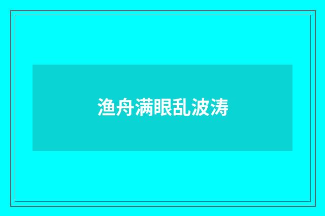 渔舟满眼乱波涛