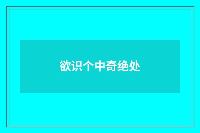 欲识个中奇绝处