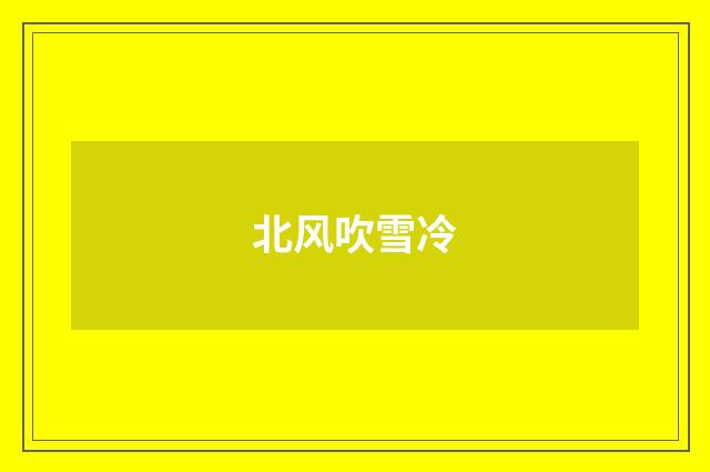 北风吹雪冷