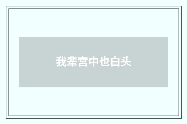 我辈宫中也白头