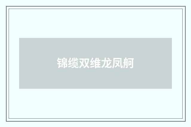 锦缆双维龙凤舸