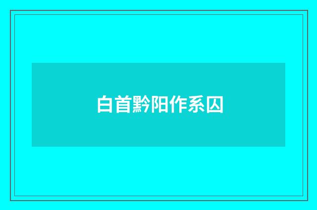 白首黔阳作系囚
