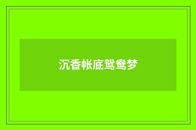 沉香帐底鸳鸯梦