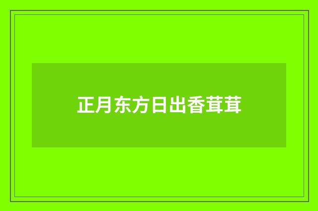 正月东方日出香茸茸