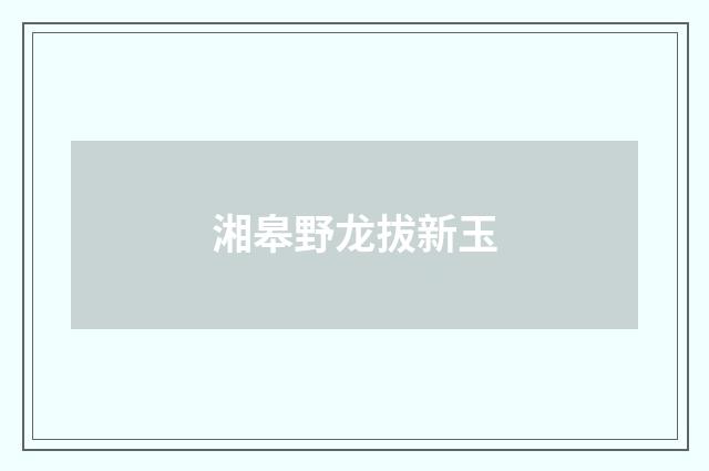 湘皋野龙拔新玉