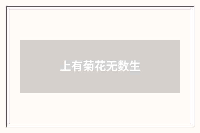 上有菊花无数生