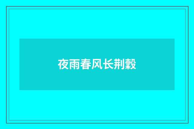 夜雨春风长荆穀