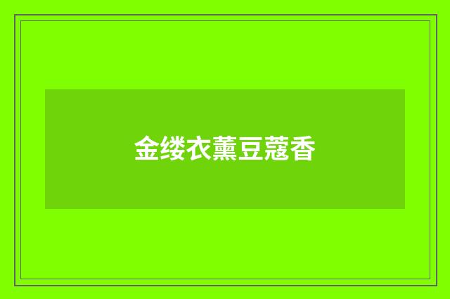 金缕衣薰豆蔻香