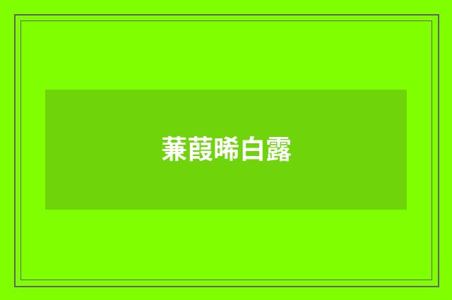 蒹葭晞白露