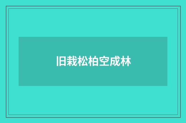 旧栽松柏空成林