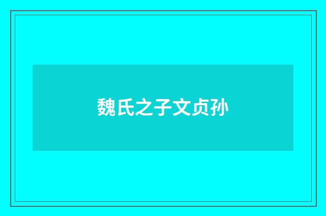 魏氏之子文贞孙
