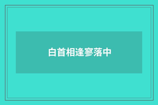 白首相逢寥落中