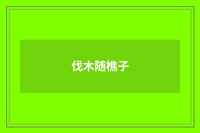 伐木随樵子