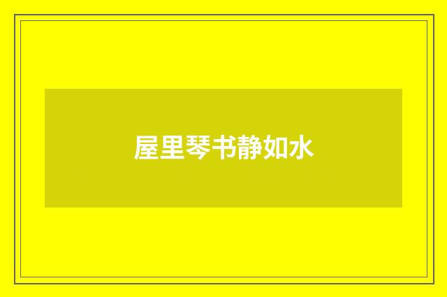 屋里琴书静如水