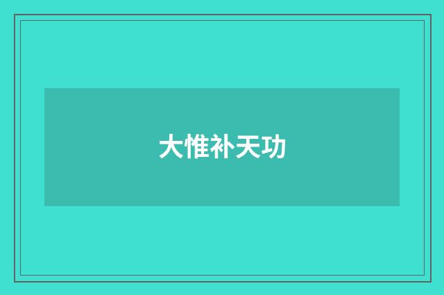 大惟补天功
