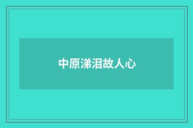 中原涕泪故人心