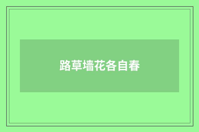 路草墙花各自春