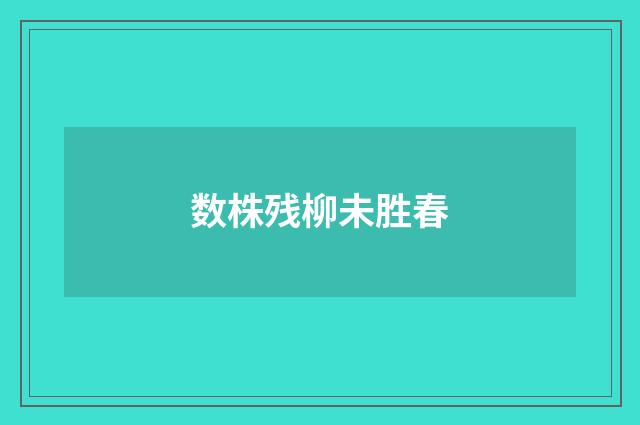 数株残柳未胜春