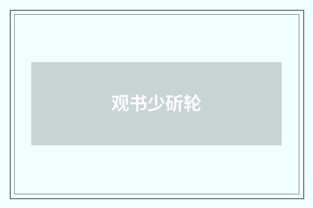 观书少斫轮