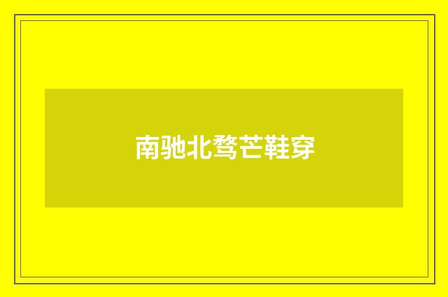 南驰北骛芒鞋穿