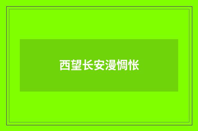 西望长安漫惆怅