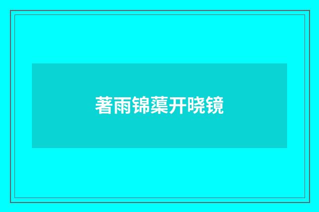 著雨锦蕖开晓镜