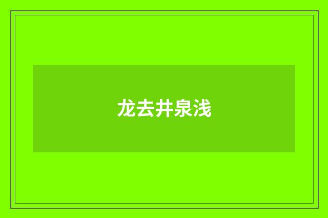 龙去井泉浅