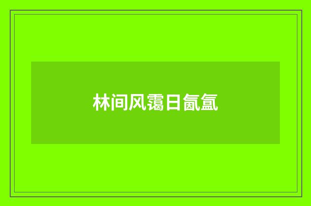 林间风霭日氤氲