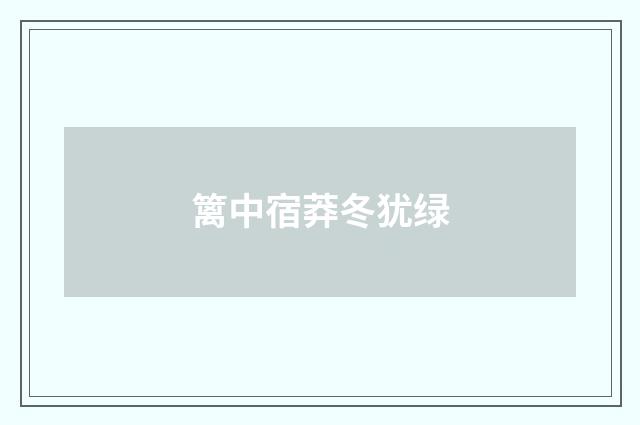 篱中宿莽冬犹绿