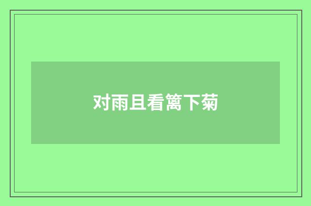 对雨且看篱下菊
