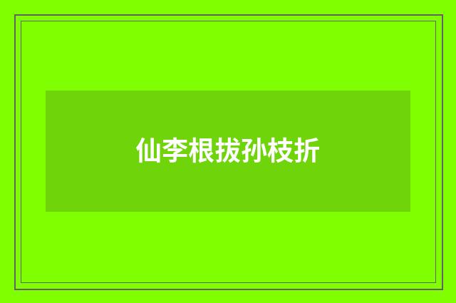 仙李根拔孙枝折